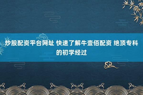 炒股配资平台网址 快速了解牛壹佰配资 绝顶专科的初学经过
